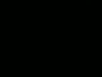 blakbeetle